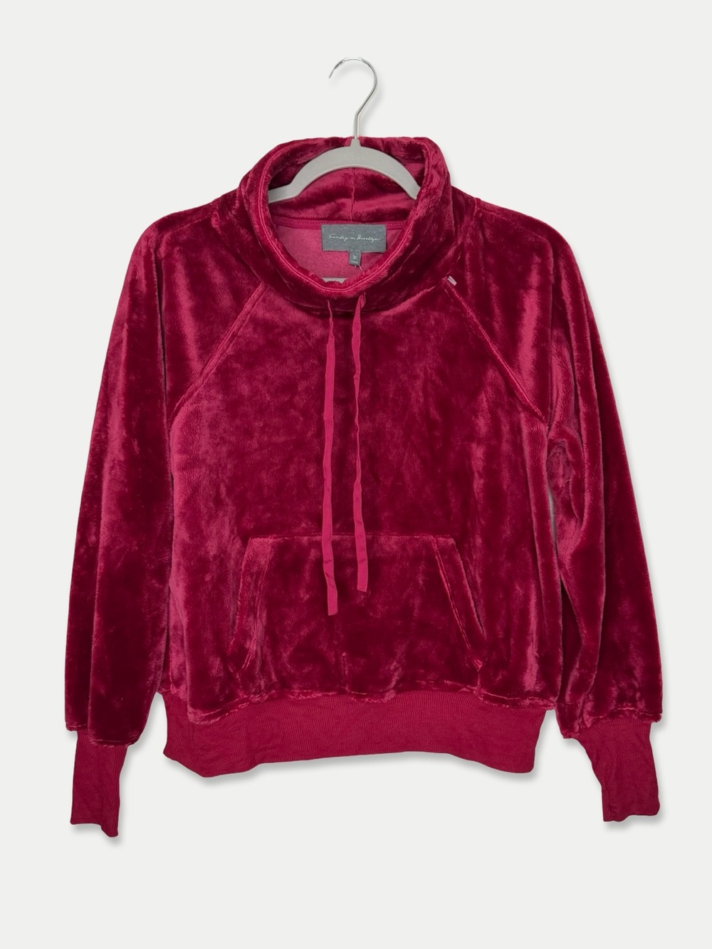 Sunday in Brooklyn XS Burgundy Plush Velour Cowl Neck Pullover NWT $88
